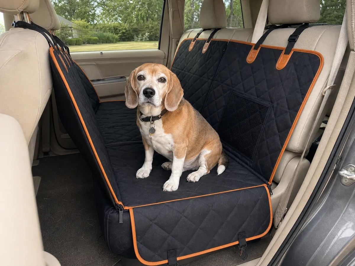 Customer beagle using Pet Liners RoadLiner in a Subaru-style back seat